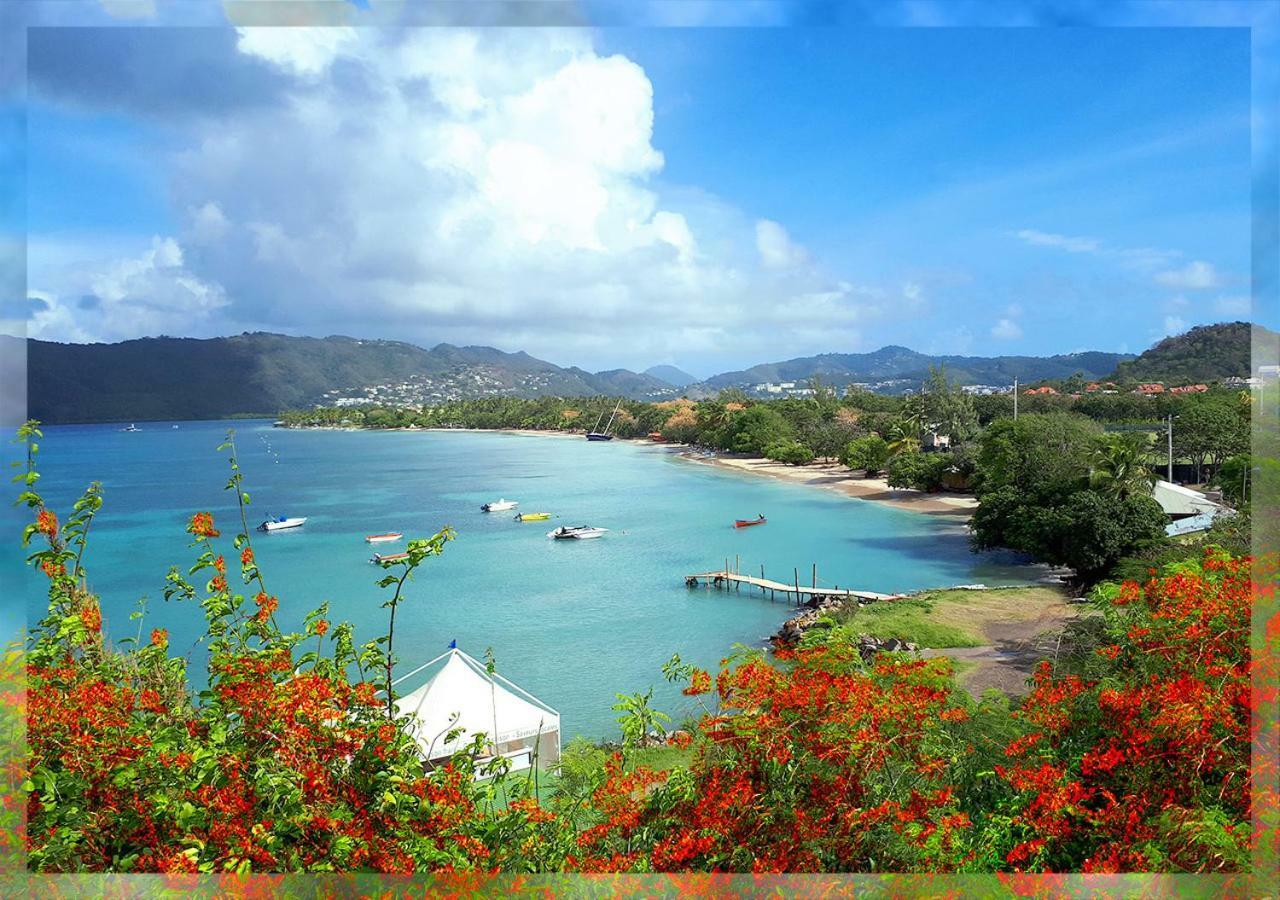 Ti Studio Creole Mahogany Sainte-Anne Exterior foto
