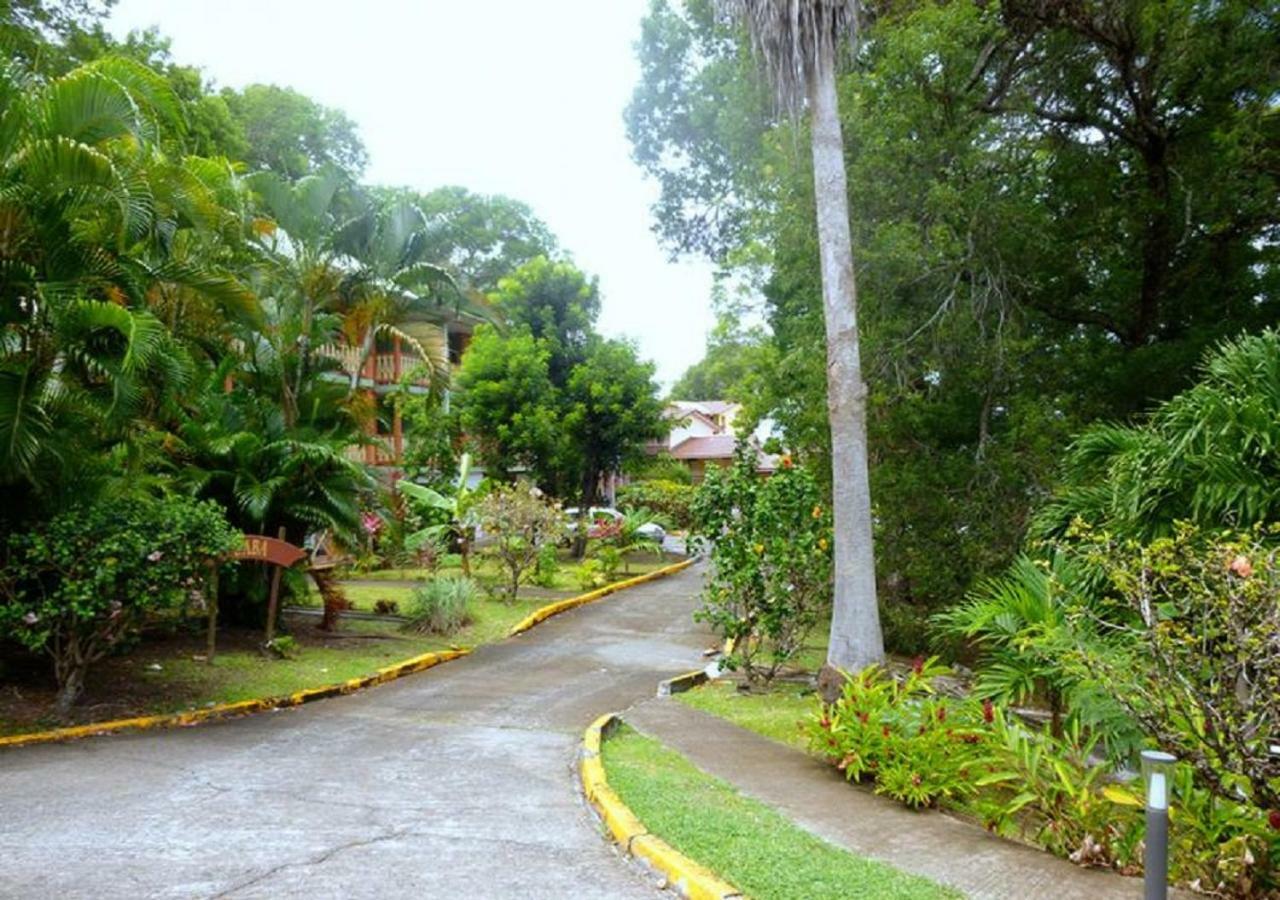 Ti Studio Creole Mahogany Sainte-Anne Exterior foto